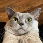 Дмитрий, фото