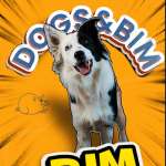 DOGSBIM, фото