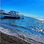 Стелла, фото