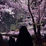 Сумая, фото