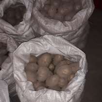 Продажа картофеля, в Анжеро-Судженске