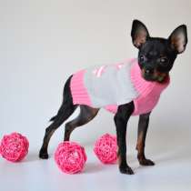 Щенки Русского тоя (Той Терьера), в Москве