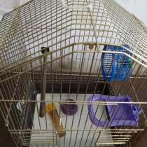 Клетка для попугаев, в Смоленске