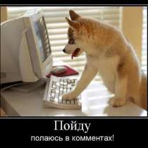 Послежу за вашей собакой, в Москве