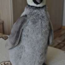 Hansa Птенец императорского пингвина, в Красноярске