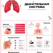 Презентация на заказ, в Казани