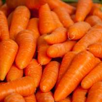 Морковь, в Тамбове