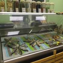 Витринной холодильник, в Москве