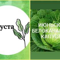 Продаём рассады овощей оптом и в розницу: капуста, перец, ба, в г.Бишкек