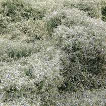 Металлолом в Новая Металлолом в Новое Металлолом в Новое Металлолом в Титово Металлолом в Новониколаевка, в Москве