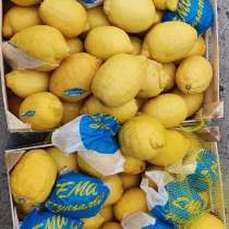 Лимон, в Краснодаре
