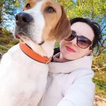 Щенки Пегой Русской Гончей в хороший дом, не квартира, в г.Гамбург