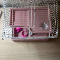 Клетка для грызунов, в Москве