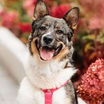 Ураган Маруф в поисках своего человека!, в Москве