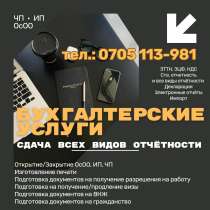 Услуги бухгалтера! Сдача всех видов Электронной отчетности, в г.Бишкек