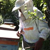 Продам пчелосемьи, в Ростове-на-Дону