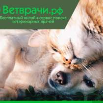 Предложение для ветеринарных врачей, в Москве