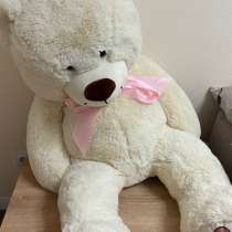 Медведи, в Санкт-Петербурге