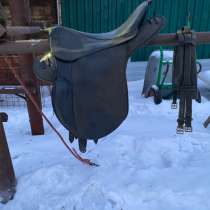 Зедда для лошади, в Киселевске
