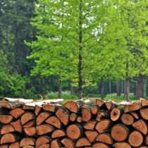 Продажа колотых дров с доставкой в Москве и Области, в Раменское