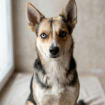 Сия - миниатюрная девочка с глазами из разных миров, в Москве