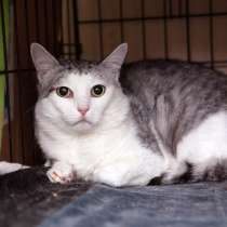 Интеллигентный Пабло ждёт встречи со своим человеком, в Москве