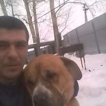 Алексей, 42 года, хочет познакомиться – Познакомлюсь для серьёзных отношений, в Белгороде