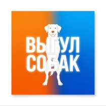 ❗️Выгул собак❗️, в Челябинске