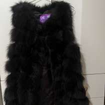 Песец отдаю за 7000, в Грозном