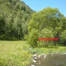 380 соток на реке на Г. Алтае, в Горно-Алтайске
