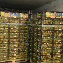 Продажа оптом овощей и фруктов с доставкой, в Ногинске