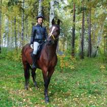 Индивидуальные конно-верховые прогулки и походы, в Екатеринбурге
