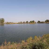 Озеро, Пруды, в г.Алматы