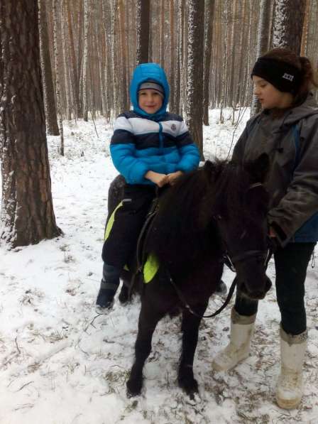 Пони и лошади на заказ в Екатеринбурге фото 4