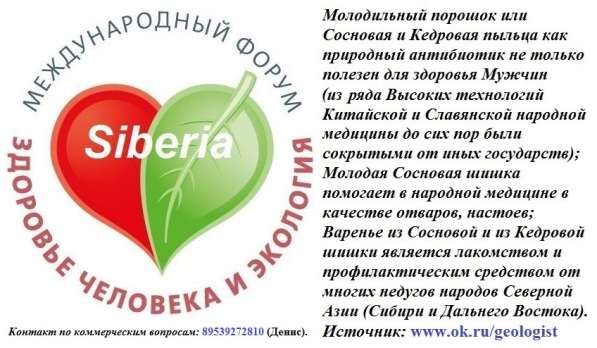 Продам сосновую шишку