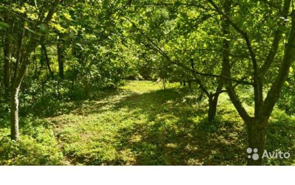 Земельный участок в Туапсе фото 4