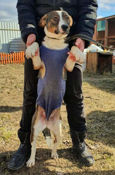 Красота -ее стихия, а зовут ее-София!!! в Москве фото 12