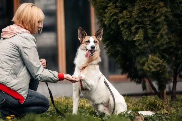 Тунис в поисках любящей семьи в Москве фото 44