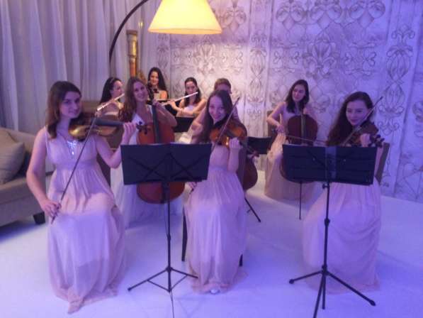 Камерный оркестр АрФеи, струнный квинтет, квартет, трио в Москве фото 6
