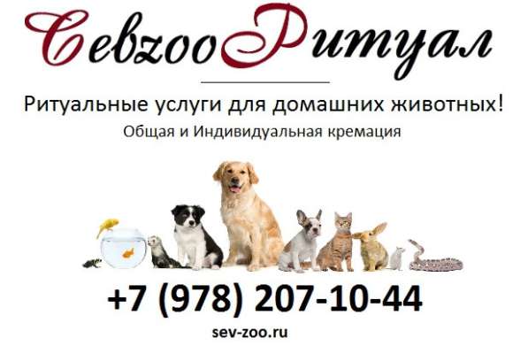 Кремация домашних животных в Севастополе!