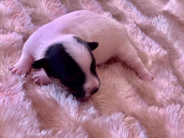 Замечательные детки в фото 5