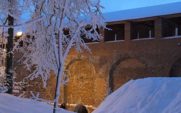 Вечерние новогодние экскурсии по Смоленску в Смоленске фото 11
