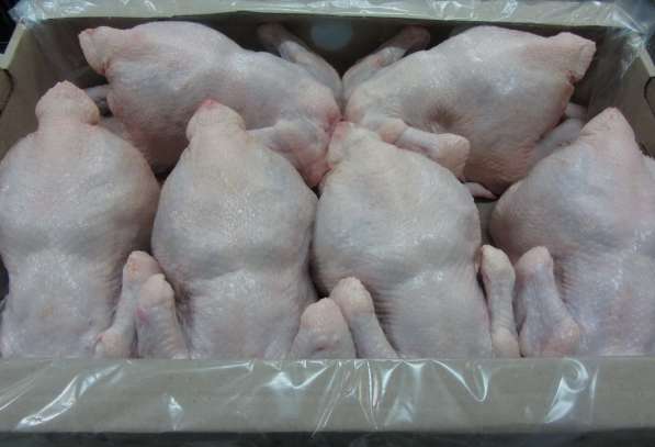 Говядина н/к, б/к, Мясо цыплят бройлера, куриное филе в Самаре фото 4