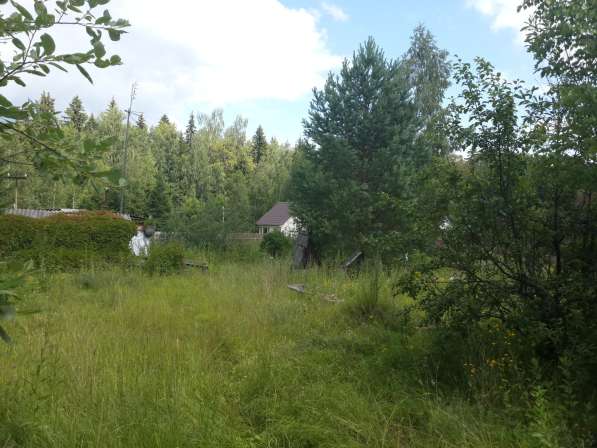 Участок 12 соток