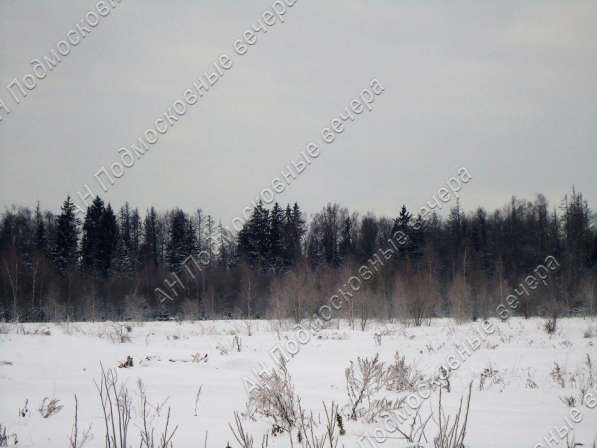 realty_mapper3.plot_in_locationПлощадь 253.00 сот.Есть Электричество, Газ. в Москве фото 22