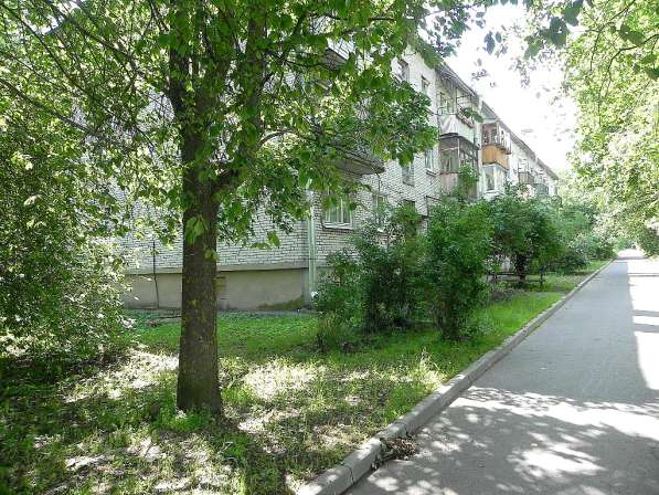 2к. квартира в Павловске, Динамо в Пушкине фото 11