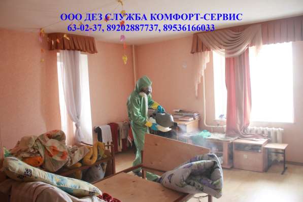 Уничтожение клопов в Орле холодным туманом в Орле фото 4
