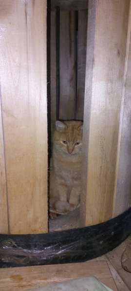 Срочно нужна помощь !!! в Краснодаре фото 4