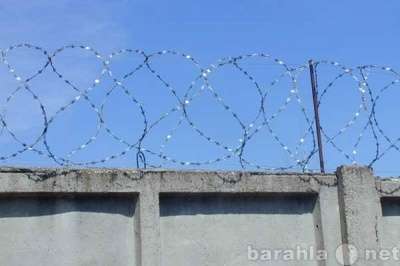 Забор из колючей проволоки в Казани фото 3