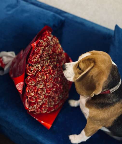 Букеты, розы из атласных лент, цветы в Санкт-Петербурге фото 7